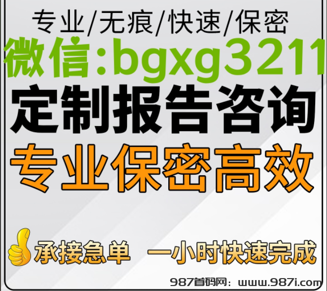 个人信用报告pdf无痕修改操作大全-987首码网