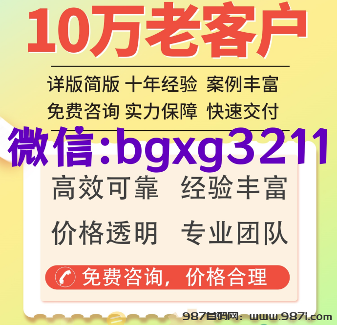 个人信用报告pdf电子版修改审查流程-987首码网