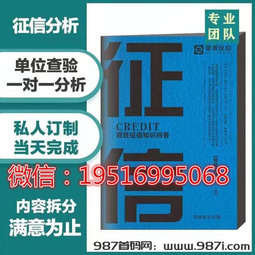 新纸质征信报告pdf制作修改-987首码网