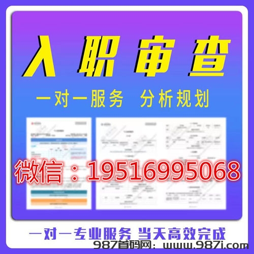 2025电子版个人征信PDF无痕修改审查办法 - 987首码网