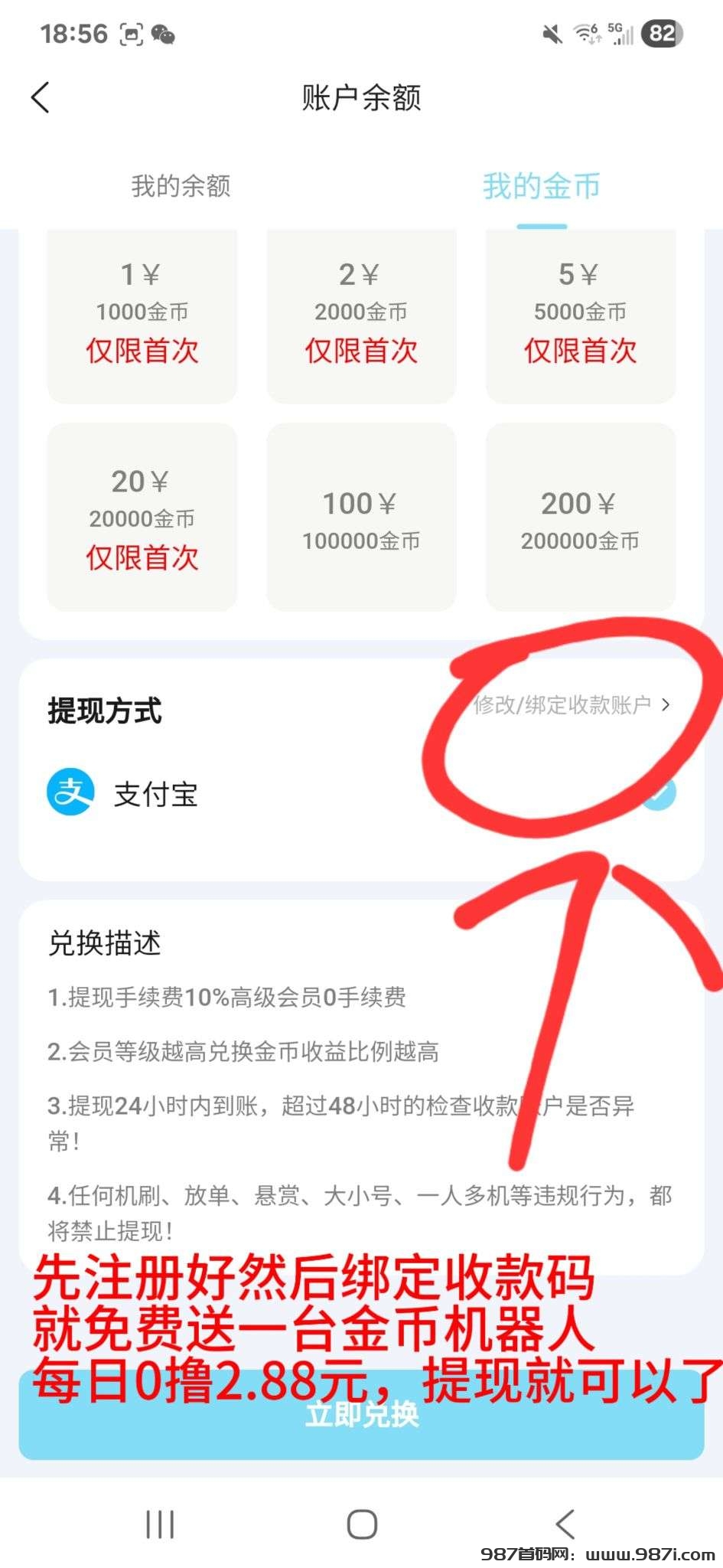 1747131755539