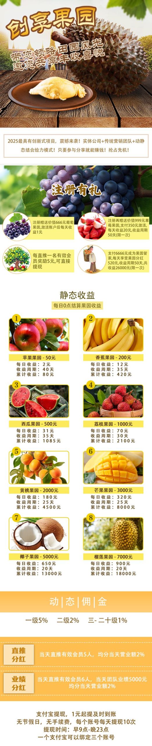 11 - 副本