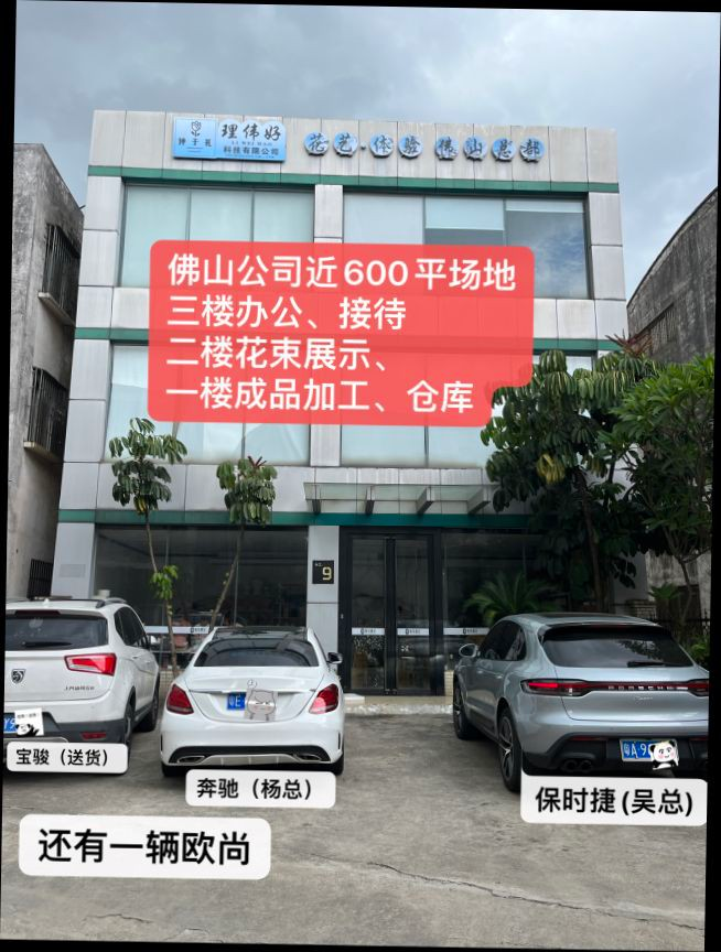 手工永生花!易上手。人均260+ - 987首码项目网